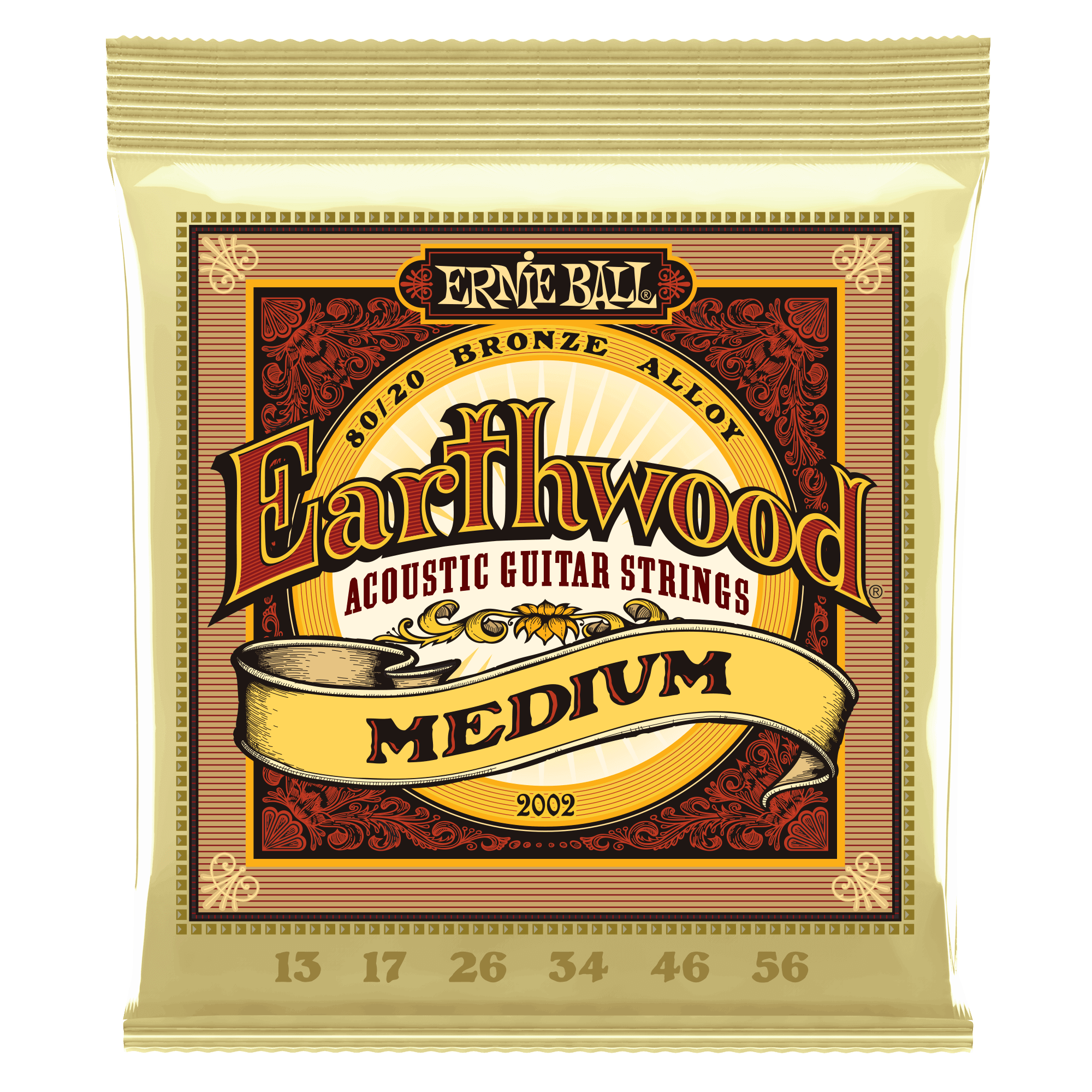 Set Cuerdas Guitarra Folk Ernie Ball 2002 Medium